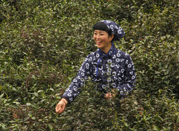 春满楼直播 热门5